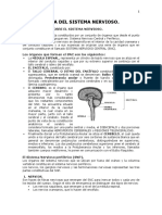 Embriología Del Sistema Nervioso 2017