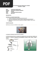 Taller 1 Grado Septimo