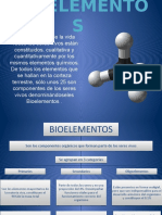 Bioelementosybiomoleculas 120902222720 Phpapp01