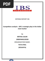 Interim Report PDF