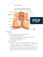 PBL SK 1 Reproduksi