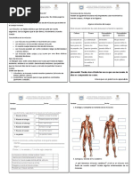 Naturales - Taller Sistema Muscular-Cuaderno