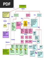 Carbohidratos Mapa Conceptual