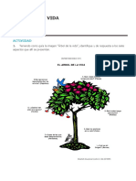 Taller - Actividad Arbol de La Vida