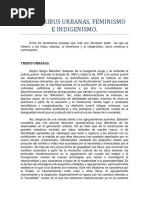 3-3-1 Tribus Urbanas Feminismo e Indigenismo PDF