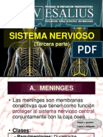 Sistema Nervioso Iii PDF