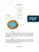 Organigrama Mision y Vision