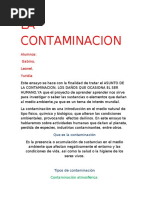 Tipos de Contaminacion