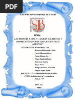 Las Drogas y Los Factores de Riesgo y Protección en Los Adolescentes y Jóvenes