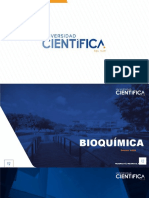 Bienvenida-Ppt 01