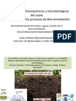 1caracteristicas Fisicoquimicas y Micro Del Suelo-Biorremediación PDF