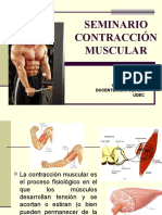 Contraccion Muscular