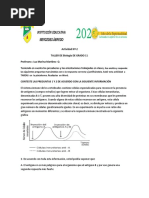 Taller Virtual Biologia Grado 11 N°-2 PDF