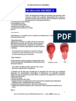 10 Sem. Examen de Urología Ii