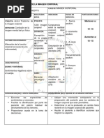 Pae Plan de Cuidados