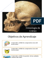 Clase 10 y 11 Osteologia de Craneo, Cara y Cav Comunes