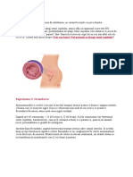 Trimestrul 1 Sarcina