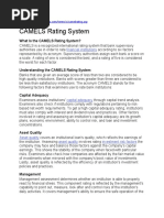 What Is The CAMELS Rating System?