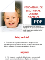 Electrizarea Prin Frecare