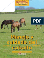 Caballos