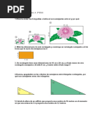 Control Semejanza A