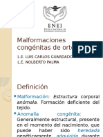 Malformaciones Congénitas de Ortopedia