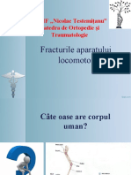 Fracturile