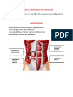 Anatomia Topografica Del Abdomen