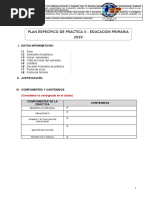 4 Esquema Tentativo Del Plan de Practica 2020