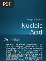 Nucleic Acid: Group 2 Report