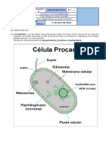 Ficha Informativa