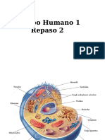 2 Repaso