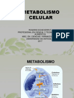 Metabolismo Celular 2017