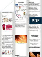 Teniasis Por Taenia Solium - Triptico