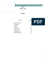 Diplomacia 360 2019.1 Ementa Modulo Hera Geral PDF