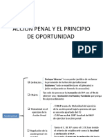 Accion Penal y El Principio de Oportunidad