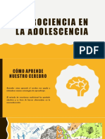 Neurociencia de La Adolesecencia