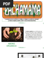 Proyecto Pachamama