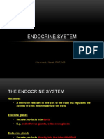 Endocrine System: Clarence L. Nuval, RMT, MD