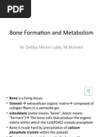 Bone Formation and Metabolism