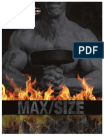 Inferno Max Size Plan