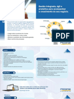 Folder ERP Piramide Procenge