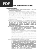 Sistema Nervioso Central PDF