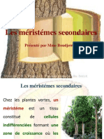 Cours 5 - Les Méristémes Secondaires PDF