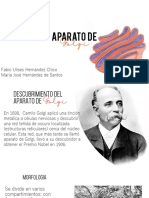 Aparato-De-Golgi Expo Presetacion 1 PDF