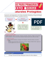 Áreas Naturales Protegidas para Sexto de Primaria PDF