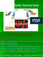 CLASE 4 Metabolismo Bacteriano 2017