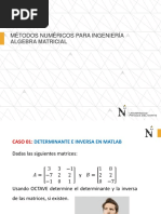 S2.1-PPT-Casos de Matrices-Teoría