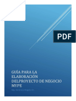 Guía Del Proyecto de Negocios MYPE