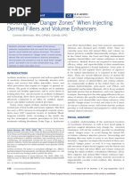 Brennan Danger Zones Fillers PDF